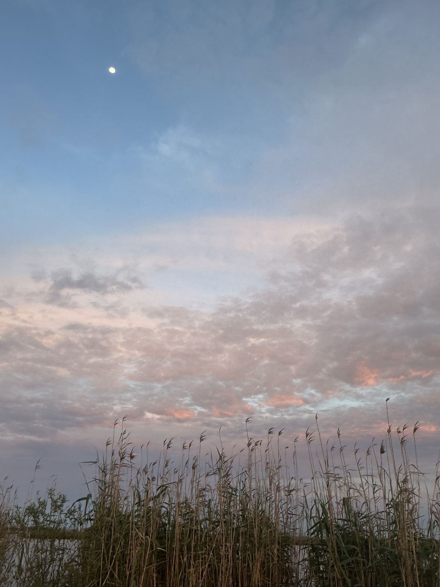 United States-National Parks-Other - Image 2372